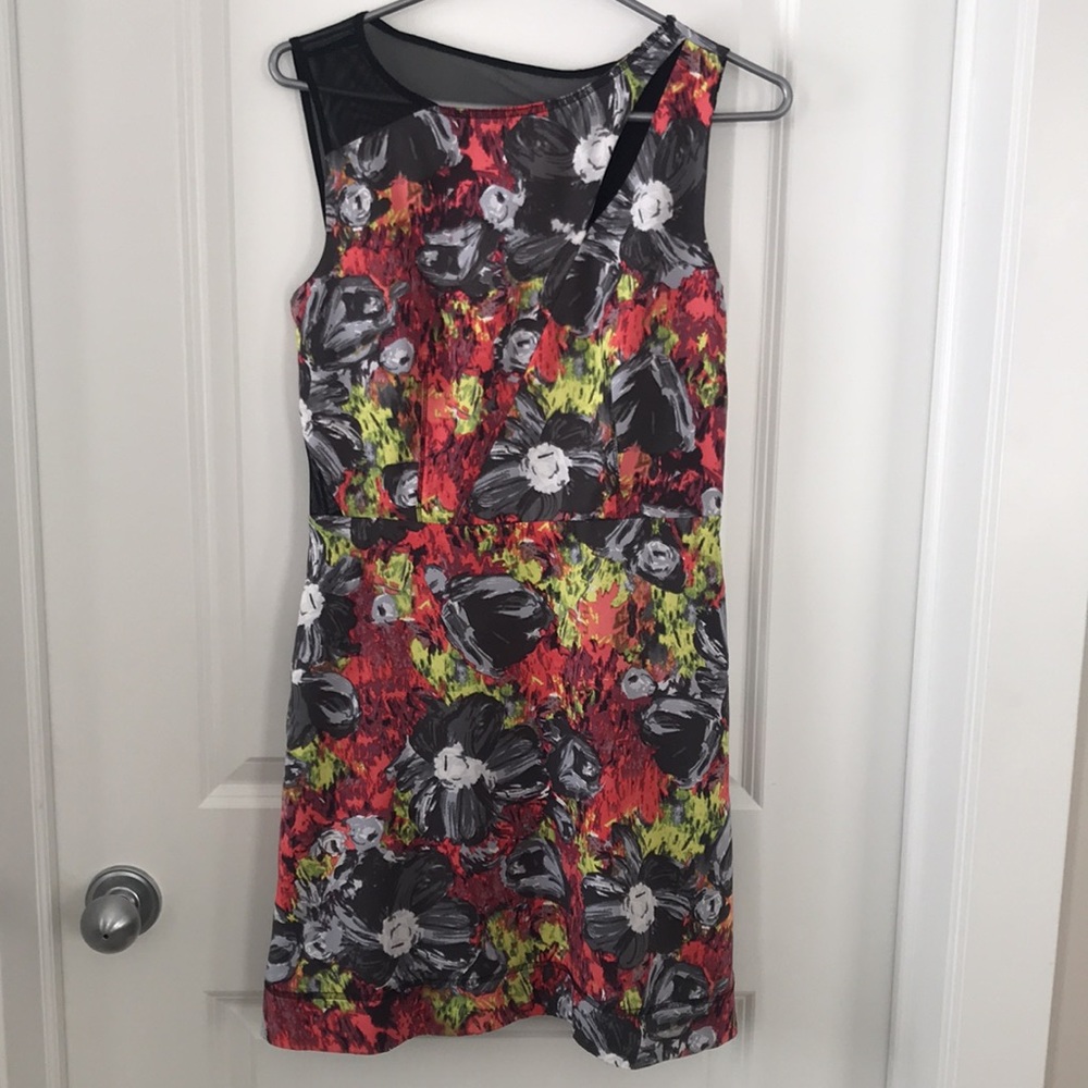 Rachel by Rachel Roy Floral Mesh Dress